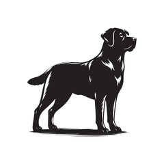 Labrador Retriever vector silhouette showcasing loyal, friendly, and playful nature, ideal for pet art, dog breed graphics, creative design, wall decor, digital projects, logos, and illustrations.
