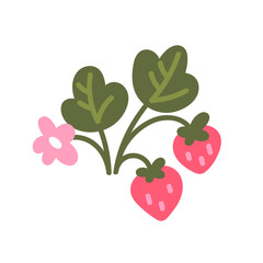 Strawberry berries and leaves illustration