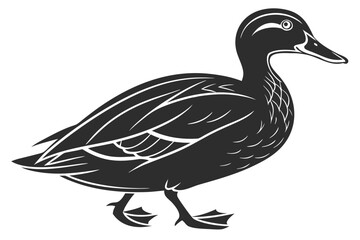 Duck vector illustration isolated on white background for your design