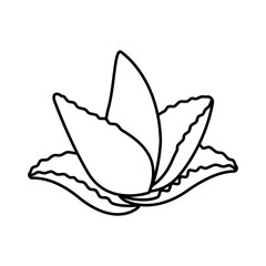 Line art illustration of aloe vera plant, perfect for minimalist and natural designs. Aloe vera is ideal for health and skincare themes. Great for aloe vera-based organic branding