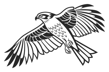 Fototapeta premium Hawk bird flying illustration isolated on white background