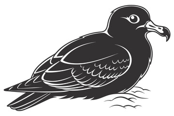 Black shearwater bird illustration isolated on white background