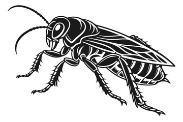 Illustration of a cockroach isolated on white background in black and white
