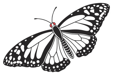 Illustration of a butterfly isolated on white background in black and white