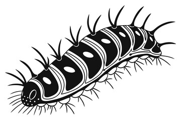 Caterpillar insect larva worm isolated on white background