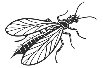 Detailed vector illustration of a mayfly isolated on white background