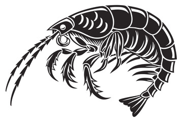 Illustration of a shrimp isolated on white background, side view