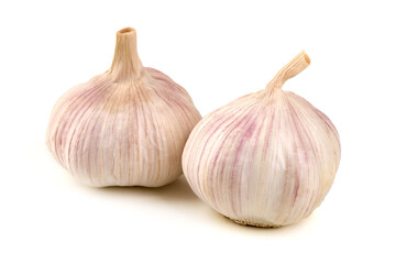 Obraz premium Two Garlic Bulbs, Allium sativum, isolated on white background