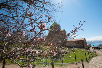 Akdamar Island is the second largest island in Lake Van, located between Türkiye's Van and Bitlis provinces.
