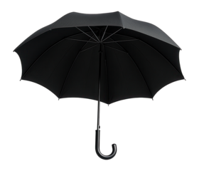 Black umbrella opened, shielding against weather elements.