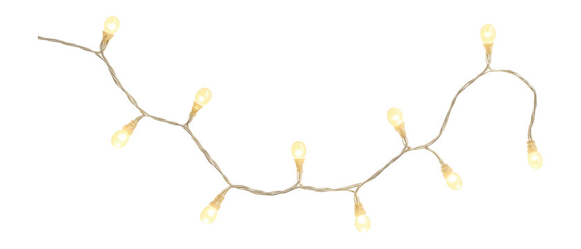 String of warm white fairy lights.