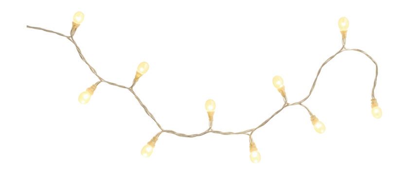 String of warm white fairy lights.