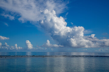 奄美大島の朝の海と夏雲。