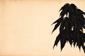 Vintage-toned paper background with dark ink drawing of maple leaves