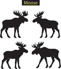 Obraz premium Moose in Nature Wildlife Illustration animal 