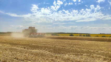 Fototapeta premium Harvest season with agricultural machine collecting ripe wheat on farmland