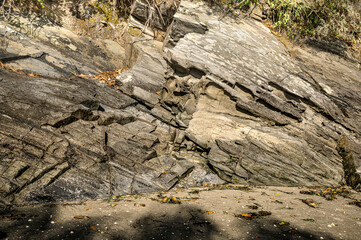 Pig Bridge estuary, Miño