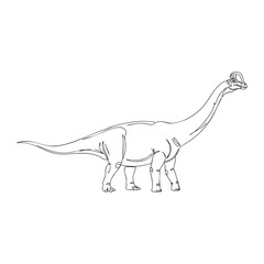 Fototapeta premium Vector line art of a large sauropod dinosaur with long neck and tail, prehistoric giant reptile illustration in outline style for study, coloring, and design use