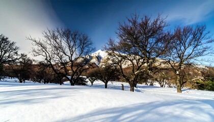 Obraz premium Snowy landscape with trees and mountains
