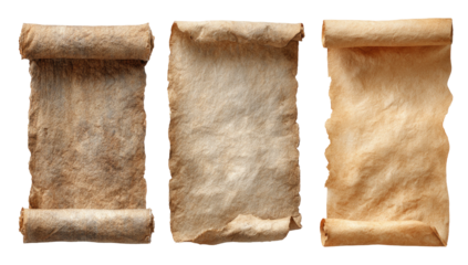 Three antique scrolls of parchment.  Aged, tan paper, rolled, and slightly frayed