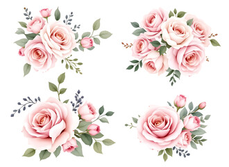 Watercolor light pink rose bouquets and arrangements, isolated on a transparent background
