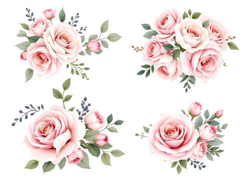 Watercolor light pink rose bouquets and arrangements, isolated on a transparent background