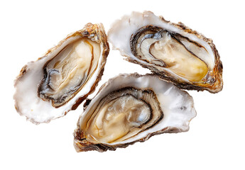 Three fresh oysters, open shells, displaying the inner flesh