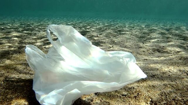 Plastic pollution A Sea of Plastic Garbage Patch.