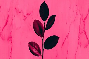 Dark leaves on a vibrant pink marble backdrop