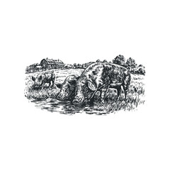 Herd of pigs drinking water from a pond in a rural landscape