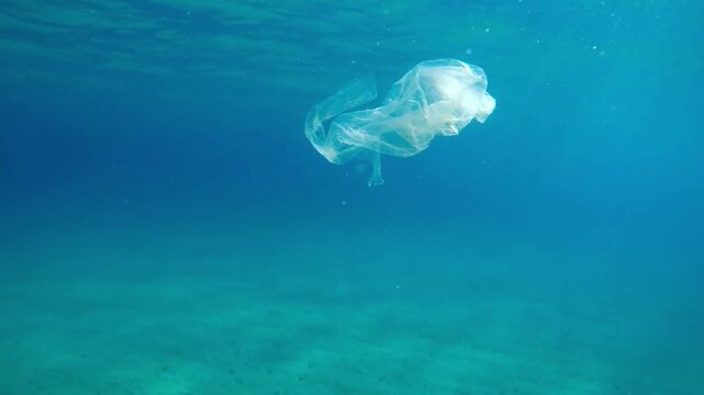 Plastic pollution A Sea of Plastic Garbage Patch.