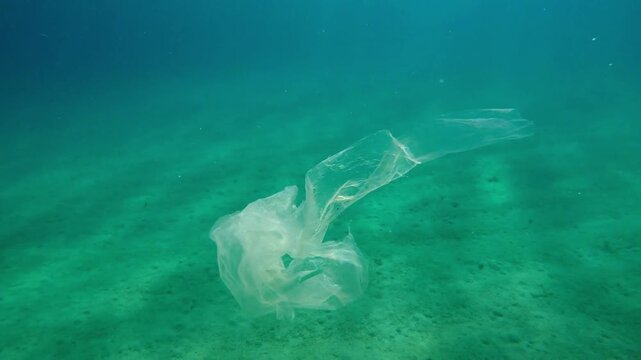 Plastic pollution A Sea of Plastic Garbage Patch.