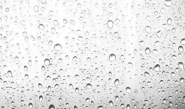 Water rain or shower drops seamless border isolated on transparent background. Realistic pure droplets condensed texture.