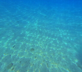 Underwater View of Clear Adriatic Sea in Croatia. Copy space