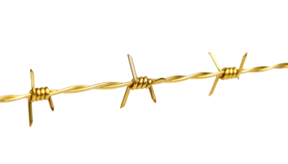 Golden barbed wire isolated on white background