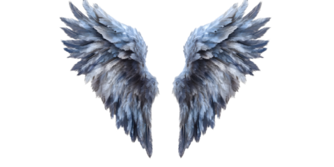 Dark blue angel wings isolated on transparent background