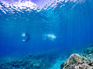 素晴らしいサンゴ礁の美しいデバスズメダイ、ミスジリュウキュウスズメダイ（スズメダイ科）他の群れ。
英名学名：Blue green damselfish, Blue green chromis (Chromis viridis), Whitetail dascyllus, Dascyllus aruanus
水面にはスキンダイバーもいる。
美しいサンゴ礁と熱帯魚の群れ。
沖縄県島尻郡慶良間諸島座間味