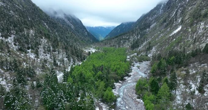 Aerial footage of beautiful high altitude forest with snow landscape