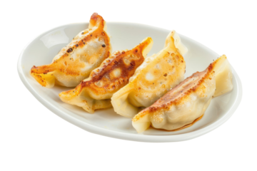 Delicious fried dumplings, gyoza, on a plate
