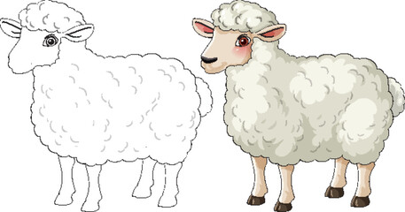 Cartoon Sheep Illustration with Color and Outline Versions
