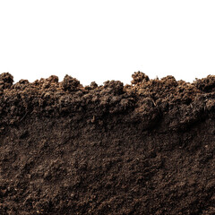 A section of dark soil on transparent background