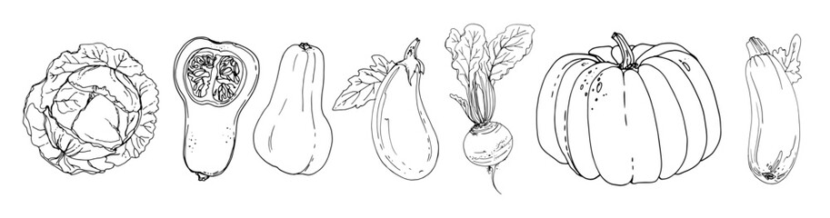 Hand Drawn line Vegetables – Sketch Style Vector Set