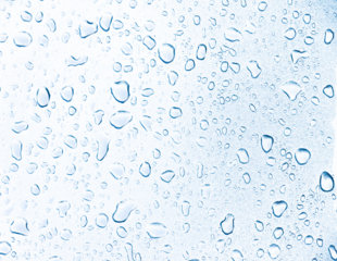 Water drops on transparent background