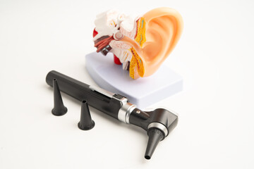 Otoscope with model for audiologist or ENT doctor use otoscope checking ear and treat hearing loss problem.
