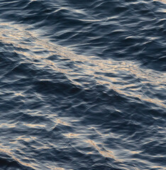 he endless blue sea stretches to the horizon, its gentle waves shimmering under the sunlight. The water sparkles like glass, carrying a sense of peace, freedom, and timeless beauty.