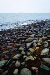 rocks on the beach