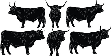 Silhouette collection of Highland cattle in various poses highlighting horns and shaggy coats for farm, livestock, agriculture, and rural design projects