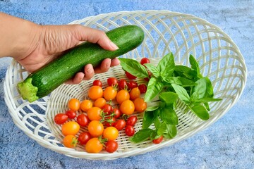 Zucchini, fresh basil, red and yellow cherry tomatoes in a basket