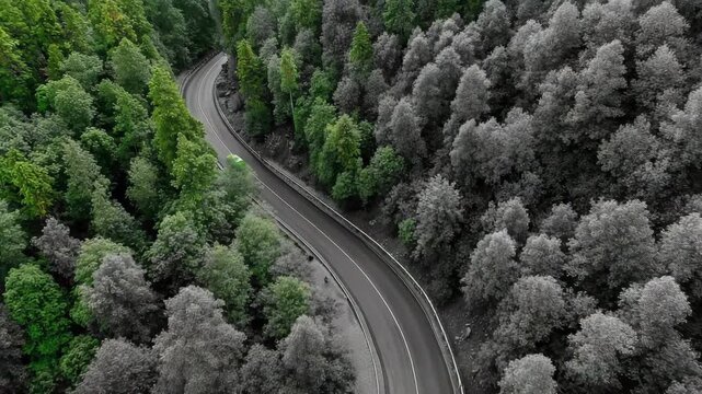 Elektroauto auf Waldstra&szlig;e &ndash; Schwarz-Wei&szlig;-Landschaft verwandelt sich in kr&auml;ftige Farben. K&uuml;nstliche Intelligenz KI