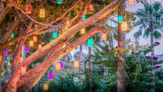 Colorful lanterns in a garden setting.